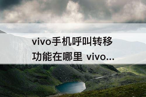 vivo手机呼叫转移功能在哪里 vivo手机呼叫转移功能在哪里找