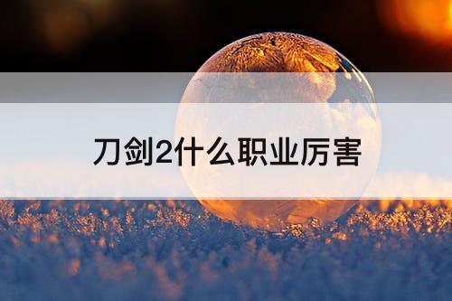刀剑2什么职业厉害
