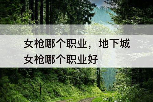 女枪哪个职业，地下城女枪哪个职业好