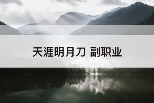 天涯明月刀 副职业