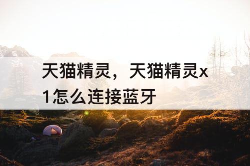 天猫精灵，天猫精灵x1怎么连接蓝牙