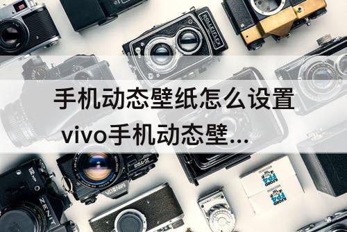 手机动态壁纸怎么设置 vivo手机动态壁纸怎么设置声音