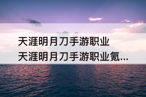 天涯明月刀手游职业 天涯明月刀手游职业氪金排行