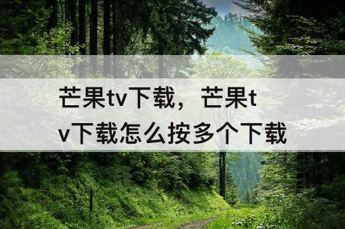 芒果tv下载，芒果tv下载怎么按多个下载