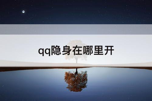 qq隐身在哪里开