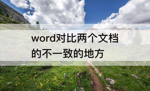 word对比两个文档的不一致的地方