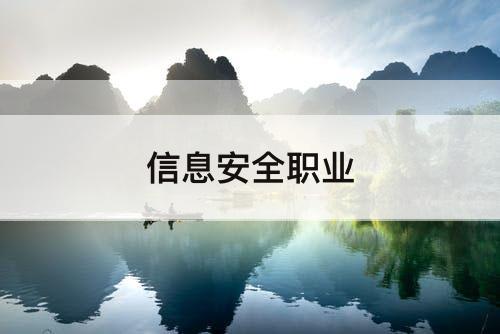 信息安全职业