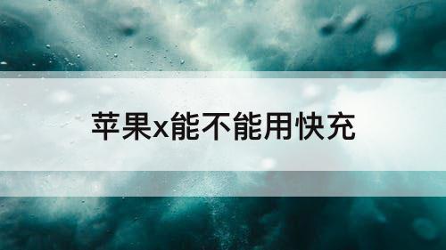 苹果x能不能用快充