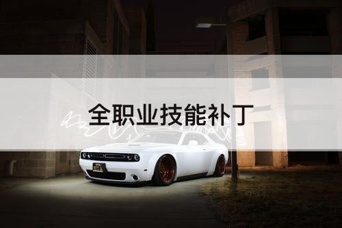 全职业技能补丁