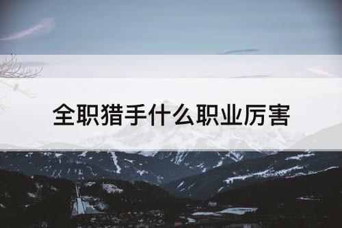 全职猎手什么职业厉害