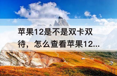 苹果12是不是双卡双待，怎么查看苹果12是不是双卡双待