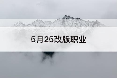 5月25改版职业