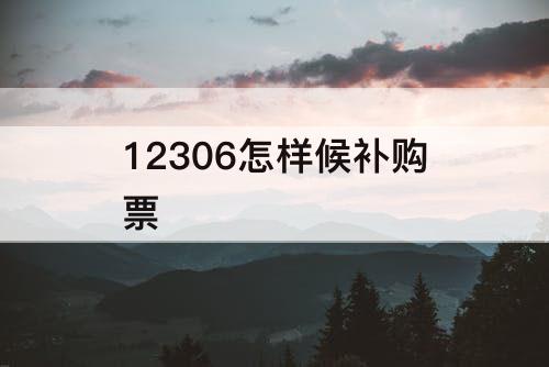 12306怎样候补购票