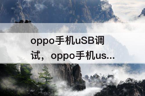 oppo手机uSB调试，oppo手机usb调试模式怎么打开