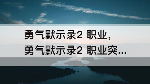 勇气默示录2 职业，勇气默示录2 职业突破上限