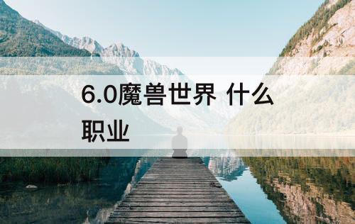 6.0魔兽世界 什么职业