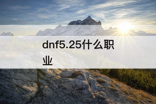 dnf5.25什么职业