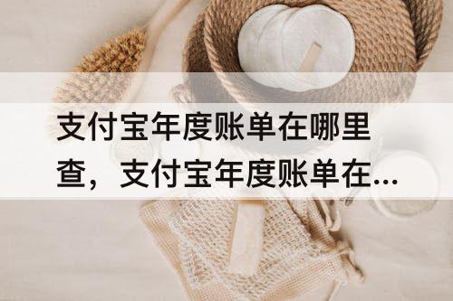 支付宝年度账单在哪里查，支付宝年度账单在哪里查2022年