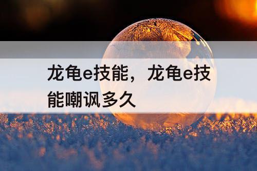 龙龟e技能，龙龟e技能嘲讽多久