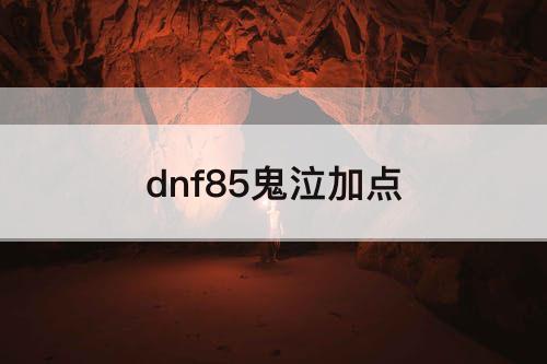 dnf85鬼泣加点