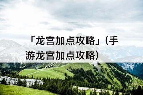 「龙宫加点攻略」(手游龙宫加点攻略)