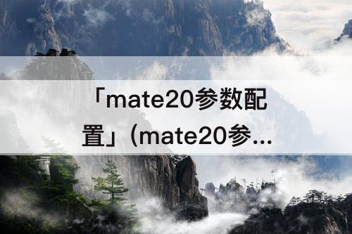 「mate20参数配置」(mate20参数配置详情)