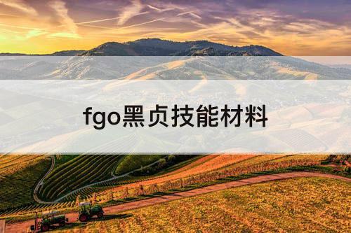 fgo黑贞技能材料
