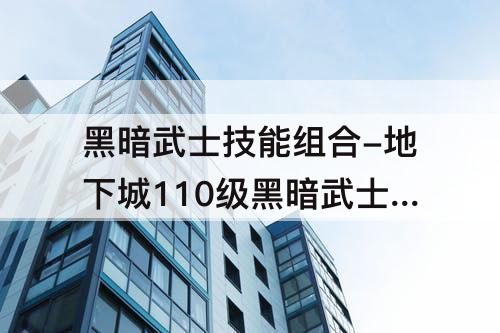 黑暗武士技能组合-地下城110级黑暗武士技能组合