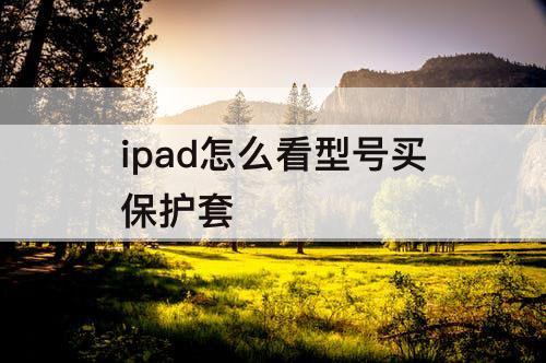 ipad怎么看型号买保护套