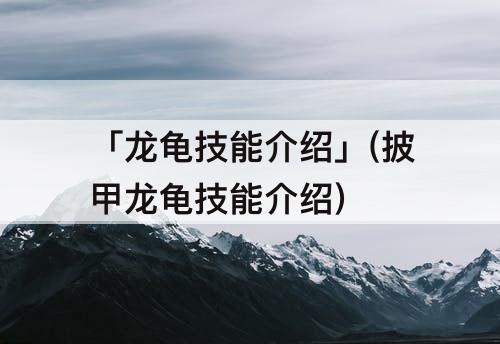「龙龟技能介绍」(披甲龙龟技能介绍)