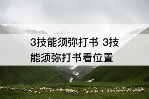 3技能须弥打书 3技能须弥打书看位置