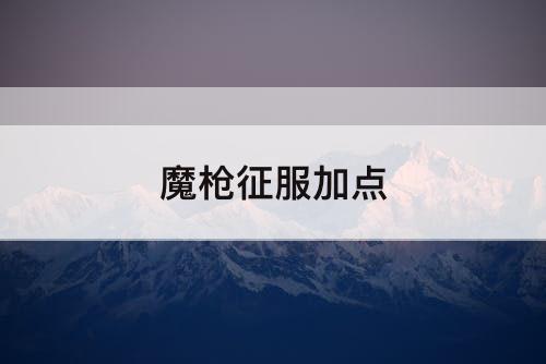 魔枪征服加点
