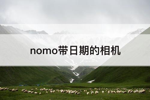 nomo带日期的相机