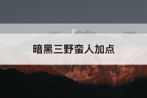 暗黑三野蛮人加点