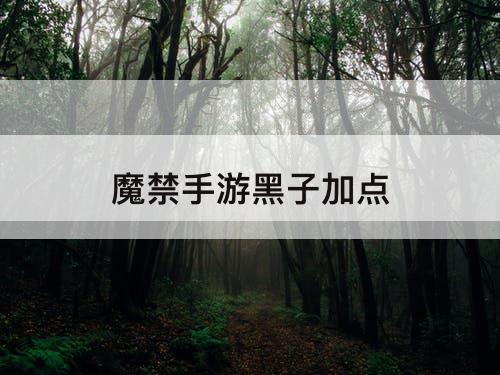 魔禁手游黑子加点