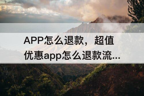 APP怎么退款，超值优惠app怎么退款流程