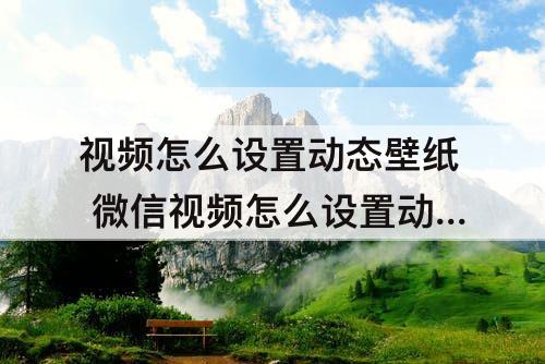 视频怎么设置动态壁纸 微信视频怎么设置动态壁纸