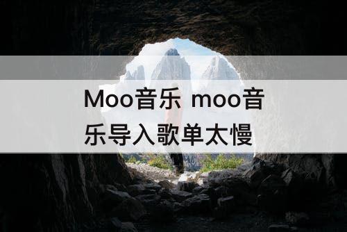 Moo音乐 moo音乐导入歌单太慢