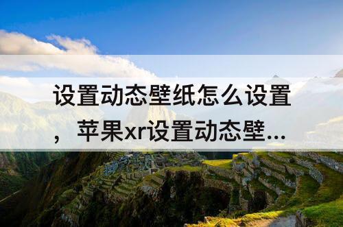 设置动态壁纸怎么设置，苹果xr设置动态壁纸怎么设置声音