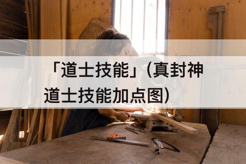 「道士技能」(真封神道士技能加点图)