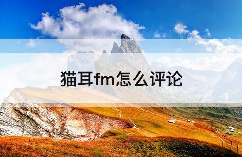 猫耳fm怎么评论