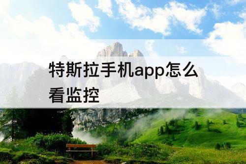特斯拉手机app怎么看监控