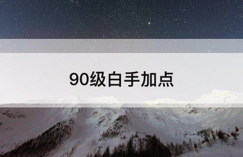 90级白手加点