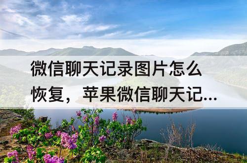 微信聊天记录图片怎么恢复，苹果微信聊天记录图片怎么恢复