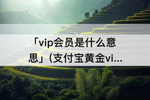 「vip会员是什么意思」(支付宝黄金vip会员是什么意思)