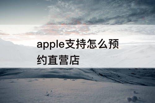 apple支持怎么预约直营店