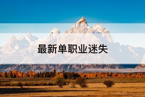 最新单职业迷失