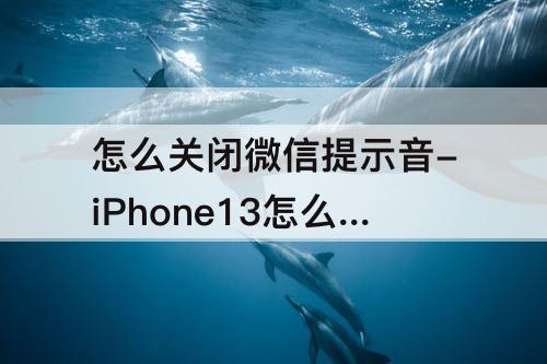 怎么关闭微信提示音-iPhone13怎么关闭微信提示音