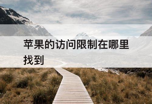 苹果的访问限制在哪里找到