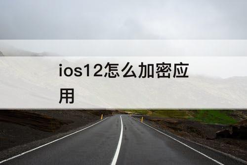 ios12怎么加密应用